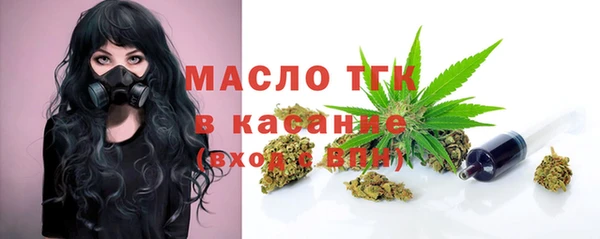 твердый Арсеньев