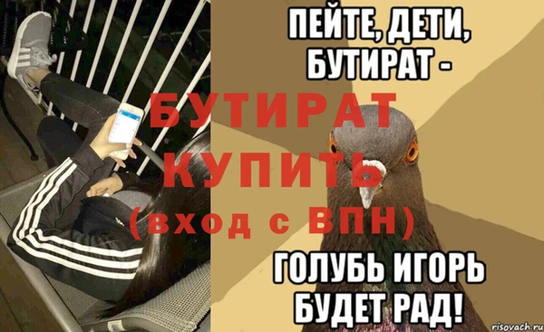 прущие грибы Рославль